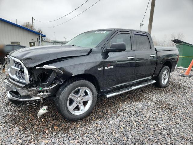 DODGE RAM 1500 2009 with VIN 1D3HV13T69S718581 - Photo from auction
