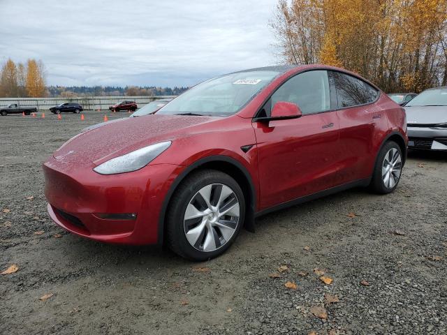 TESLA MODEL Y 2024 with VIN 7SAYGDEE4RF983857 - Photo from auction
