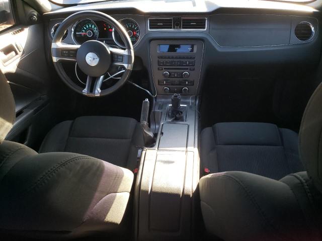 Photo 8 from auction – 2014 FORD MUSTANG with VIN 1ZVBP8AMXE5246453