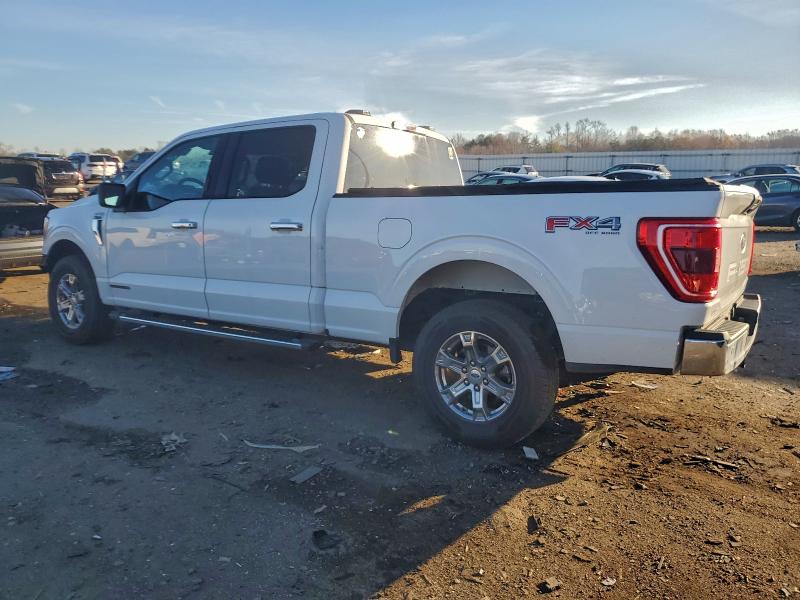 Photo 2 from auction – 2023 FORD F150 SUPER with VIN 1FTFW1ED4PFA58842