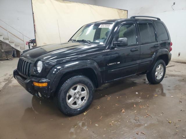 JEEP LIBERTY LI 2002 with VIN 1J4GL58KX2W105244 - Photo from auction