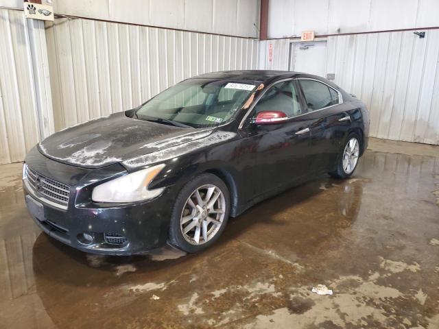 NISSAN MAXIMA S 2009 with VIN 1N4AA51E99C857556 - Photo from auction