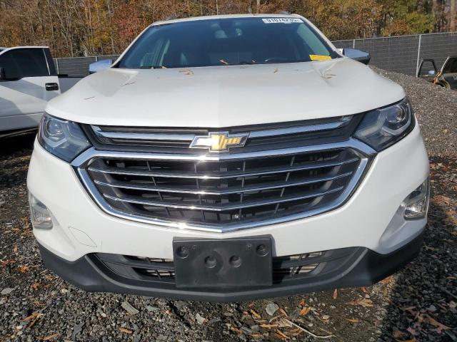 Photo 5 from auction – 2019 CHEVROLET EQUINOX PR with VIN 2GNAXYEX8K6257302