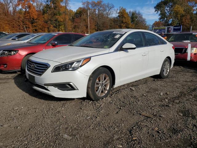 HYUNDAI SONATA SE 2016 with VIN 5NPE24AF7GH354699 - Photo from auction