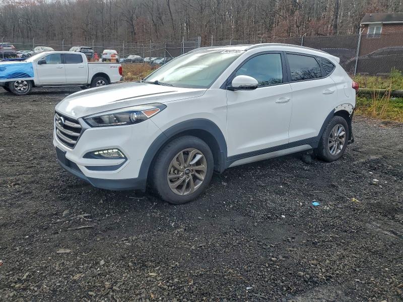 HYUNDAI TUCSON LIM 2017 with VIN KM8J3CA42HU583878 - Photo from auction