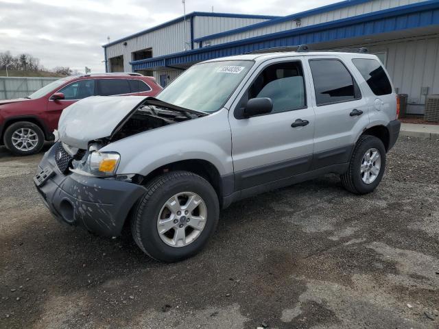 FORD ESCAPE XLT 2006 with VIN 1FMCU03106KA56082 - Photo from auction