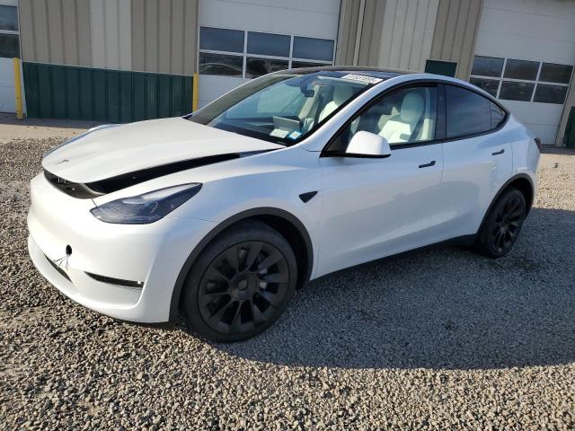 TESLA MODEL Y 2025 con VIN 7SAYGDEE0SF223382 - Foto de la subasta