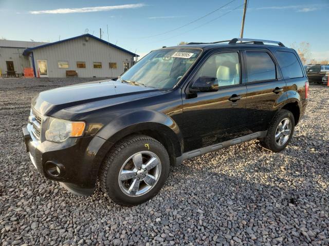 FORD ESCAPE LIM 2012 مع رقم تعريف المركبة 1FMCU9EG3CKA04317 - صورة من المزاد