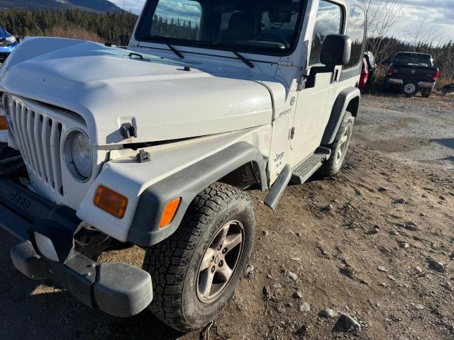 JEEP WRANGLER / 2006 with VIN 1J4FA49S96P777371 - Photo from auction