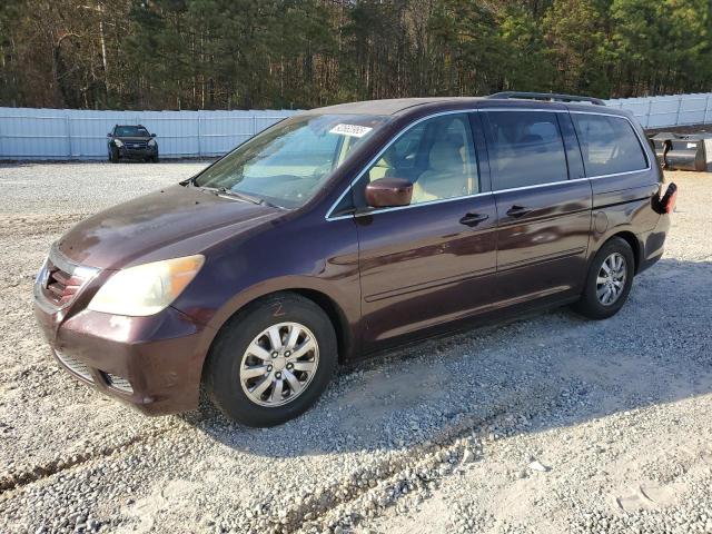 HONDA ODYSSEY 2009 with VIN 5FNRL38419B003303 - Photo from auction
