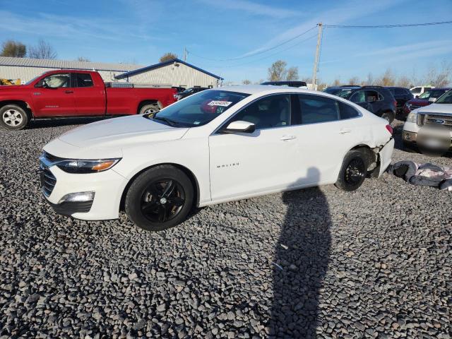 Photo 1 from auction – 2023 CHEVROLET MALIBU LT with VIN 1G1ZD5ST4PF203702