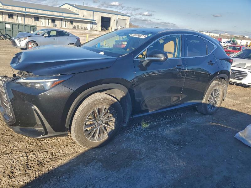 LEXUS NX 350 BAS 2024 with VIN 2T2AGCEZ2RC045190 - Photo from auction
