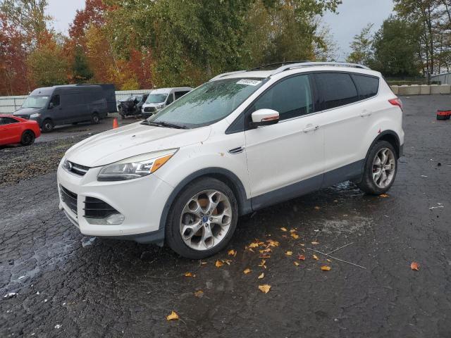 Photo 1 from auction – 2013 FORD ESCAPE TIT with VIN 1FMCU0J9XDUA04923