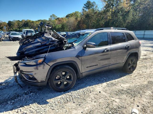 JEEP CHEROKEE L 2019 with VIN 1C4PJLLBXKD454083 - Photo from auction