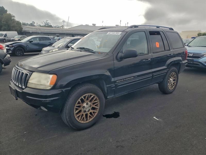 JEEP GRAND CHER 2002 with VIN 1J4GW58J92C241980 - Photo from auction