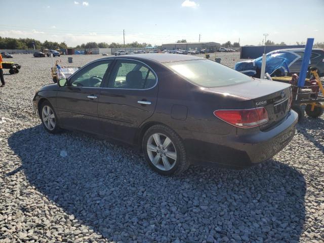 Photo 2 from auction – 2005 LEXUS ES 330 with VIN JTHBA30G655115909
