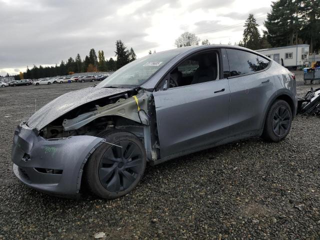 TESLA MODEL Y 2024 with VIN 7SAYGDEE6RF199888 - Photo from auction