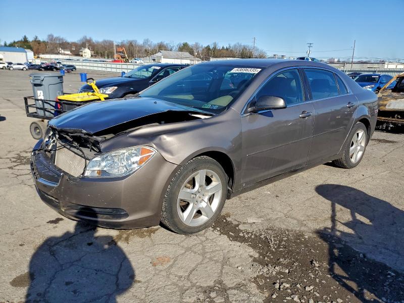 CHEVROLET MALIBU LS 2010 with VIN 1G1ZB5EB3AF101131 - Photo from auction