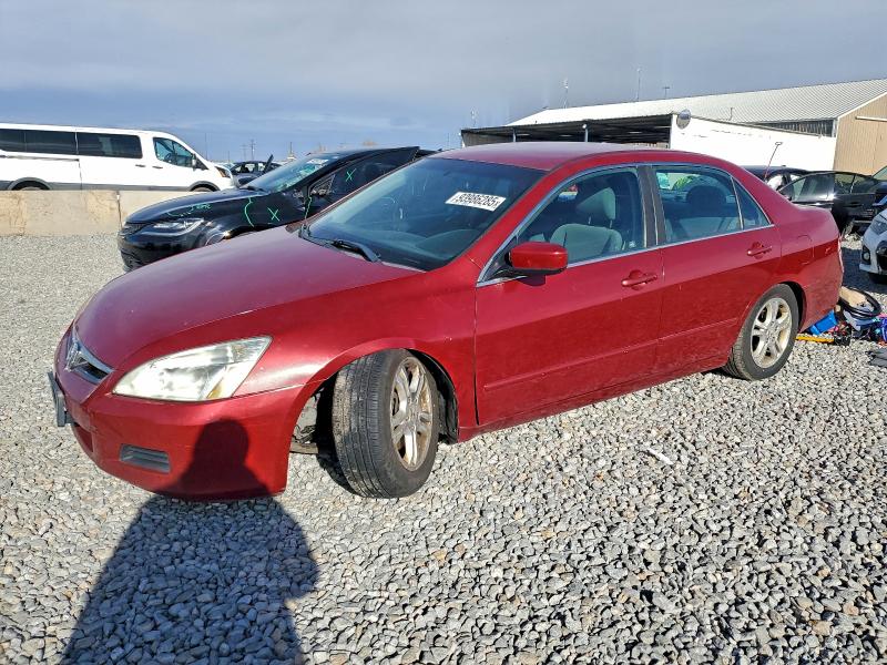 HONDA ACCORD SE 2007 with VIN 1HGCM56367A036247 - Photo from auction