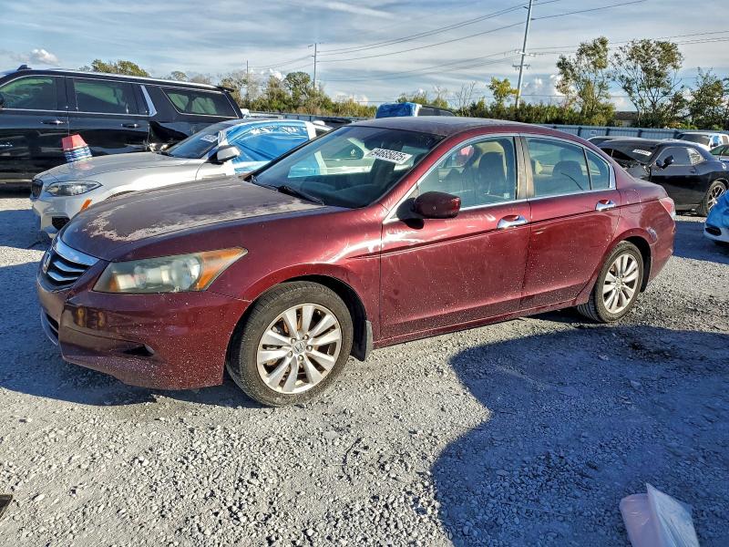 HONDA ACCORD EXL 2011 with VIN 1HGCP3F82BA007229 - Photo from auction