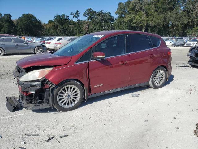FORD C-MAX SEL 2014 z numerem VIN 1FADP5BU7EL507449 - Zdjęcie z aukcji