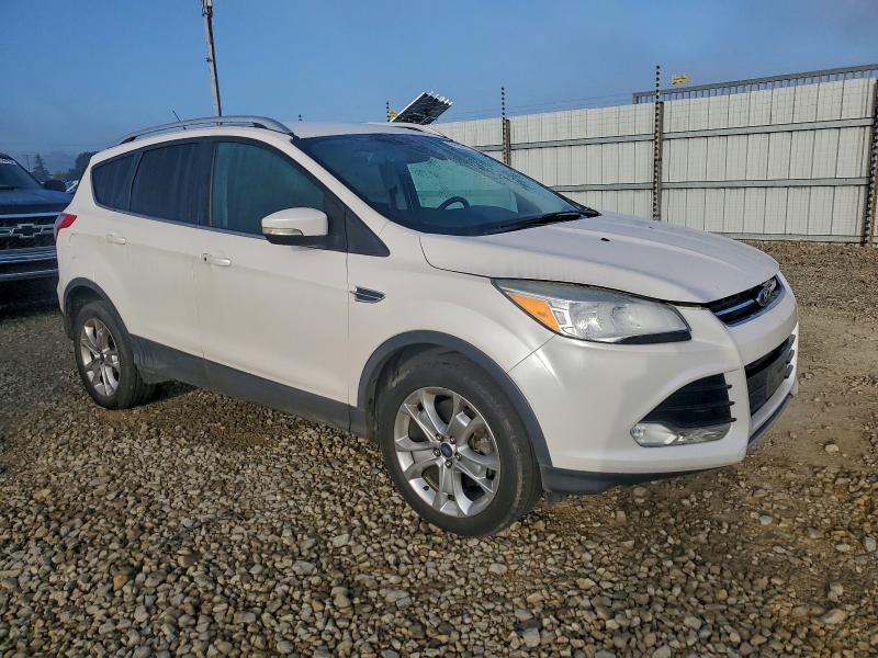 Photo 4 from auction – 2014 FORD ESCAPE TIT with VIN 1FMCU9JX4EUB99745