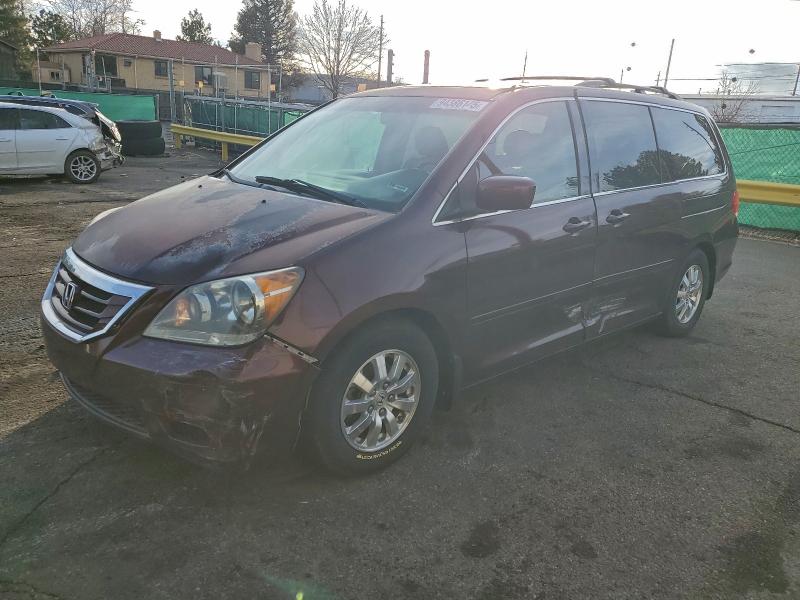 HONDA ODYSSEY EX 2009 with VIN 5FNRL38789B409671 - Photo from auction