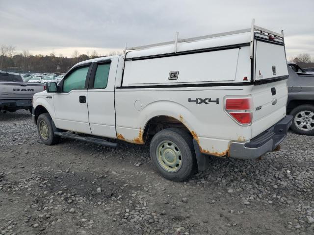Photo 2 from auction – 2011 FORD F150 SUPER with VIN 1FTEX1EM1BFC39964