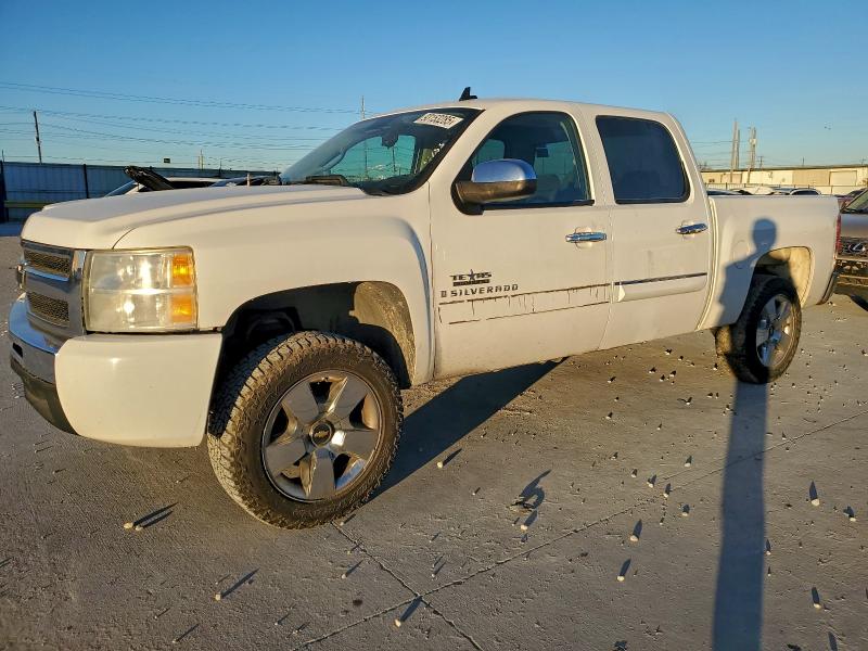 CHEVROLET SILVERADO 2009 with VIN 3GCEC23009G226228 - Photo from auction