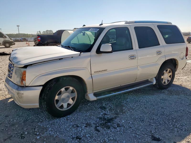 CADILLAC ESCALADE L 2003 with VIN 1GYEC63T13R168312 - Photo from auction