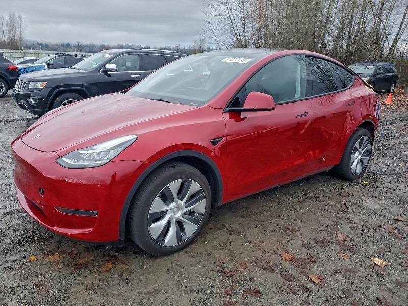 TESLA MODEL Y 2023 with VIN 7SAYGDEE5PA105087 - Photo from auction