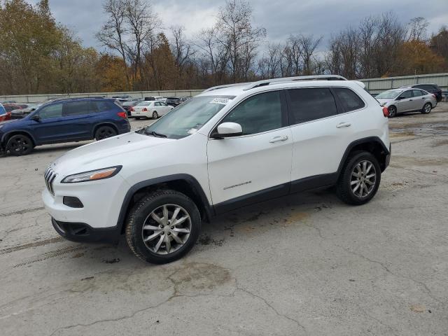 JEEP CHEROKEE L 2018 with VIN 1C4PJMDB9JD559734 - Photo from auction