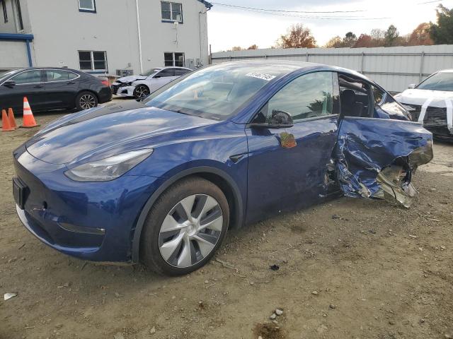 TESLA MODEL Y 2023 with VIN 7SAYGDEE1PF838028 - Photo from auction