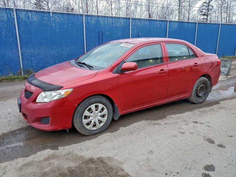 TOYOTA COROLLA BA 2010 with VIN 2T1BU4EE5AC199238 - Photo from auction