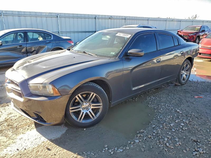 DODGE CHARGER PO 2013 with VIN 2C3CDXAG3DH721442 - Photo from auction