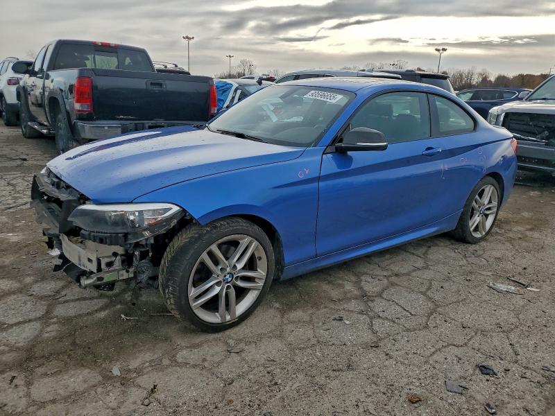 BMW 228 XI 2015 with VIN WBA1F7C59FV367572 - Photo from auction