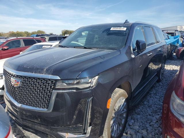 CADILLAC ESCALADE E 2024 with VIN 1GYS4KKL2RR100765 - Photo from auction