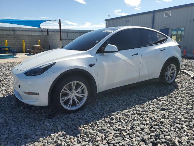 TESLA MODEL Y 2023 with VIN 7SAYGDEE4PF790766 - Photo from auction