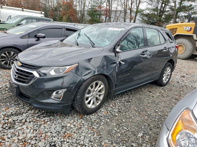 CHEVROLET EQUINOX LS 2019 with VIN 2GNAXHEV0K6118232 - Photo from auction