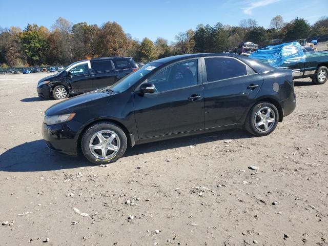 KIA FORTE EX 2010 with VIN KNAFU4A25A5828911 - Photo from auction