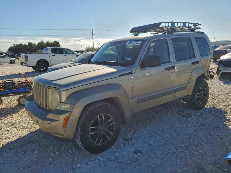 JEEP LIBERTY SP 2010 with VIN 1J4PP2GK9AW118103 - Photo from auction