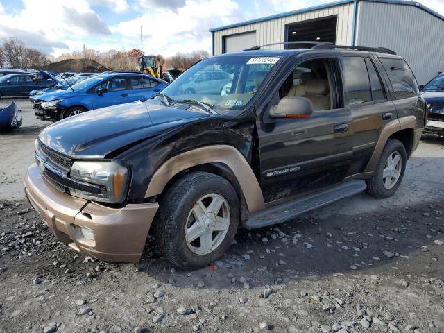 Photo 1 from auction – 2003 CHEVROLET TRAILBLAZE with VIN 1GNDT13S232200146