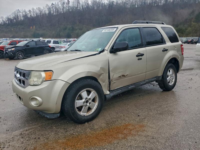 FORD ESCAPE XLT 2010 with VIN 1FMCU0DG8AKD25957 - Photo from auction