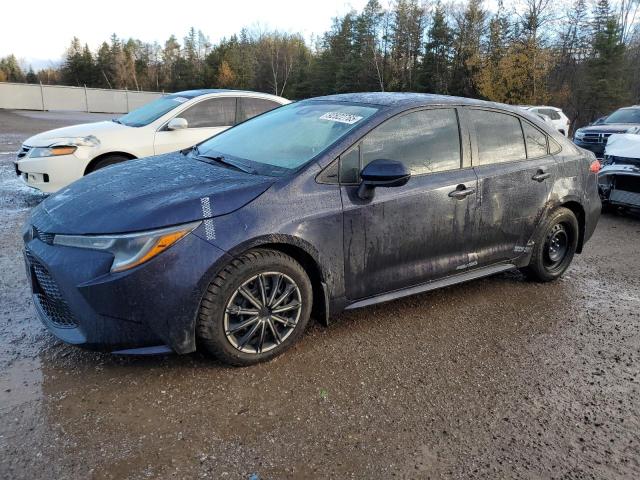 TOYOTA COROLLA LE 2020 with VIN 5YFBPRBE8LP024803 - Photo from auction