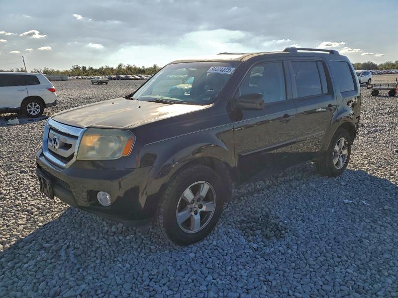 HONDA PILOT EXL 2011 with VIN 5FNYF3H57BB010614 - Photo from auction