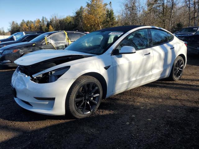 TESLA MODEL 3 2023 with VIN LRW3E1FA6PC843047 - Photo from auction