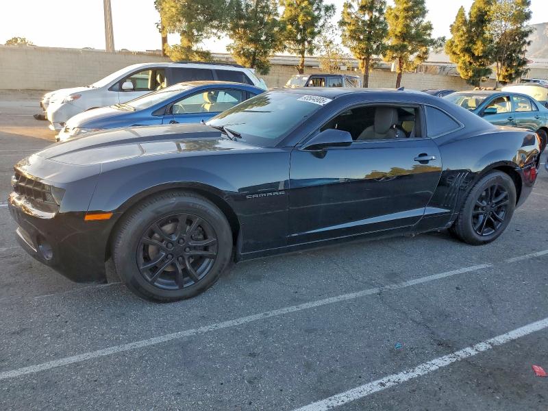 CHEVROLET CAMARO LS 2011 with VIN 2G1FA1ED7B9193435 - Photo from auction