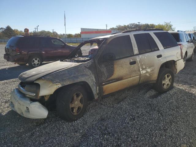 Photo 1 from auction – 2002 CHEVROLET TRAILBLAZE with VIN 1GNDS13SX22301369