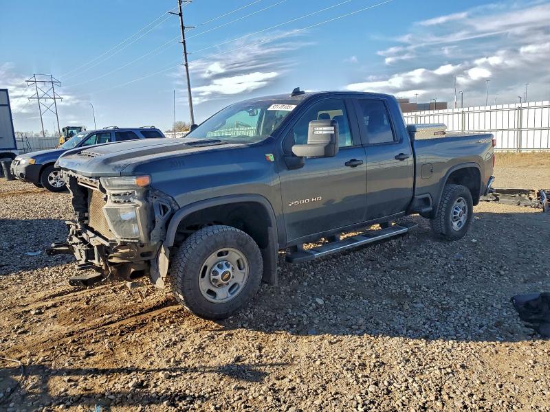 CHEVROLET SILVERADO 2020 with VIN 1GC5YLE77LF173764 - Photo from auction