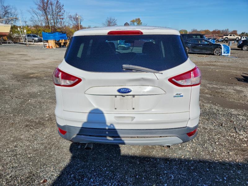 Photo 6 from auction – 2014 FORD ESCAPE SE with VIN 1FMCU9GX6EUC01079